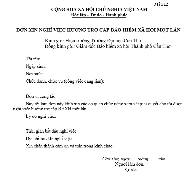 Mẫu đơn xin nghỉ việc hưởng trợ cấp bảo hiểm xã hội một lần