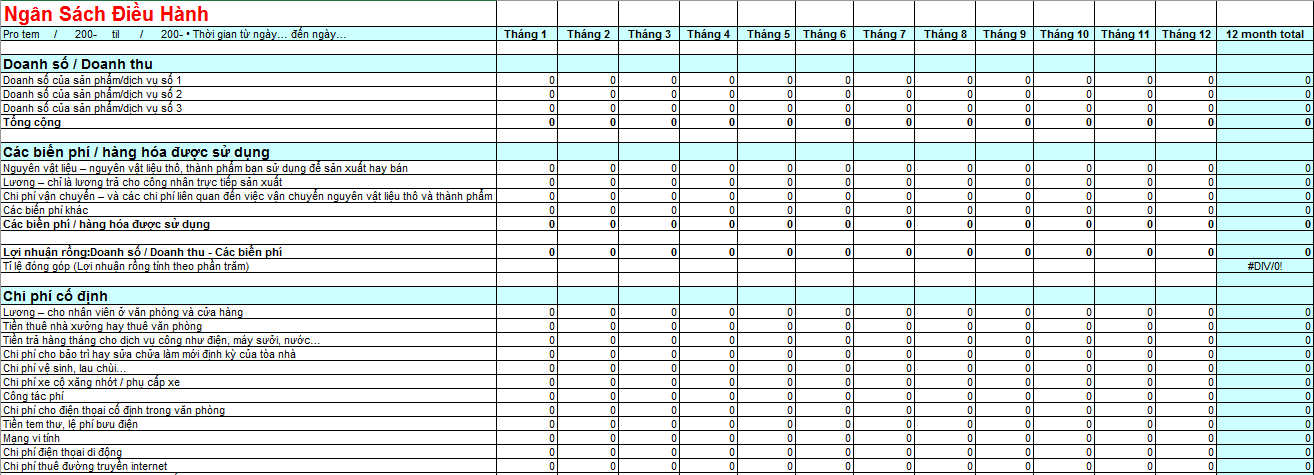Bảng dự toán ngân sách cho chi phí hoạt động 12 tháng