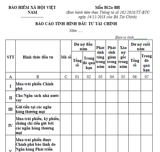 Báo cáo tình hình đầu tư tài chính