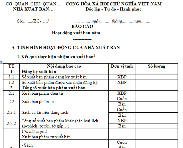 Mẫu báo cáo hoạt động xuất bản năm