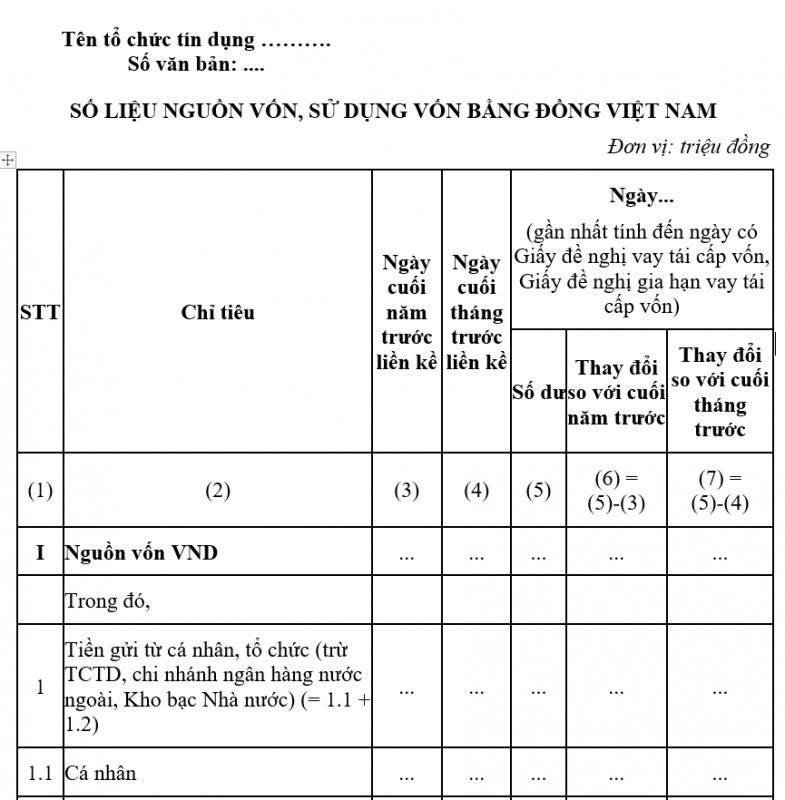 Mẫu số liệu nguồn vốn, sử dụng vốn bằng đồng Việt Nam
