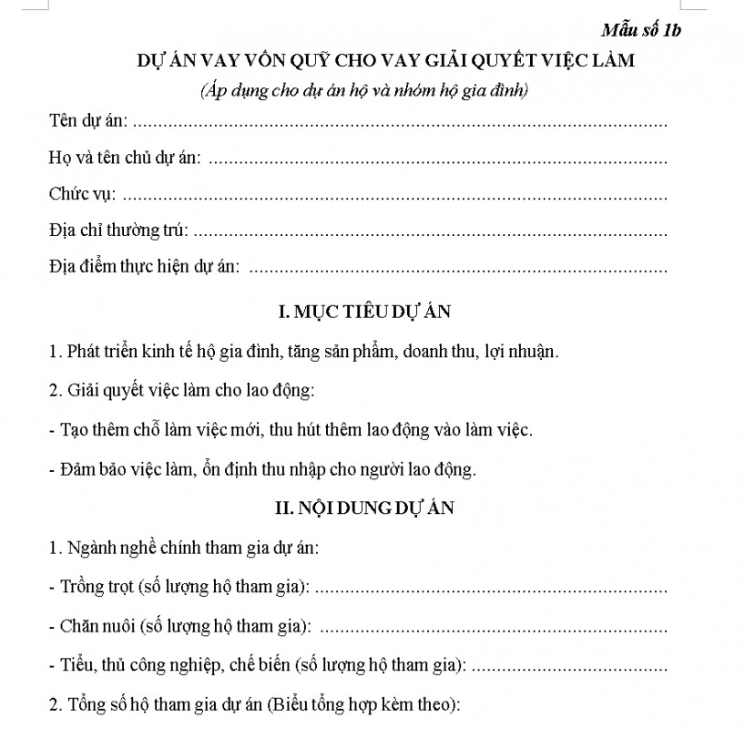 Mẫu dự án vay vốn giải quyết việc làm