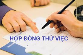 Mức lương thử việc đang áp dụng hiện nay và một số lưu ý