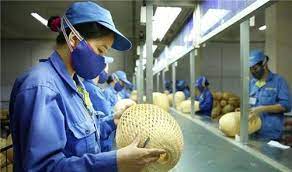 Thủ tục hỗ trợ người mất việc chưa đủ điều kiện nhận thất nghiệp