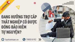 Đang hưởng trợ cấp thất nghiệp có được đóng BHXH tự nguyện?