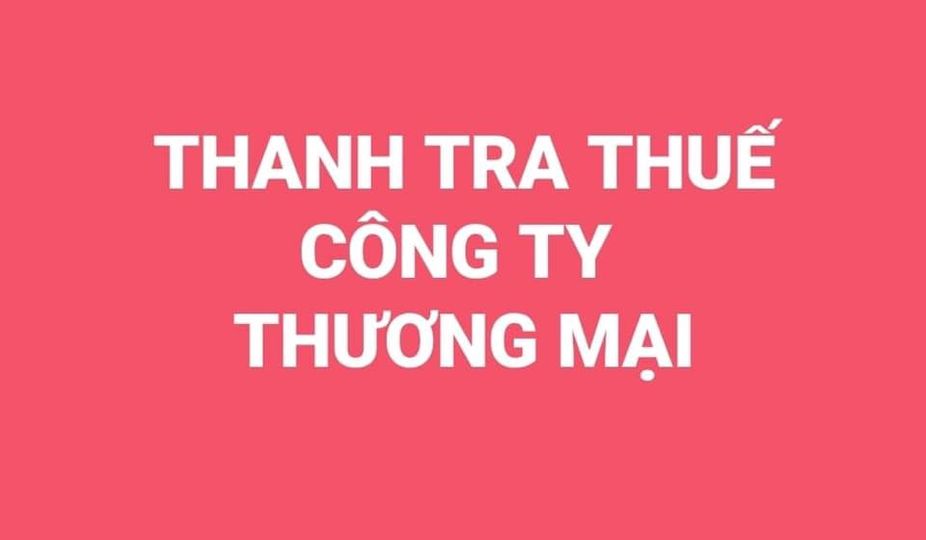 THANH TRA THUẾ CÔNG TY THƯƠNG MẠI